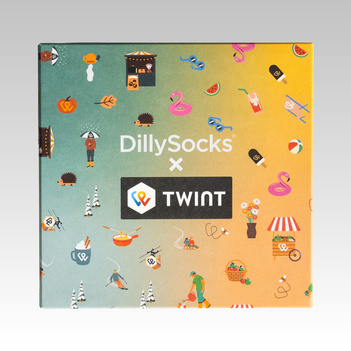 DillySocks 4 season box